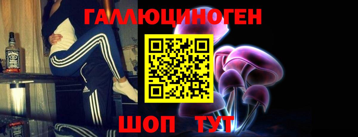 Псилоцибиновые грибы GOLDEN TEACHER Нижний Новгород