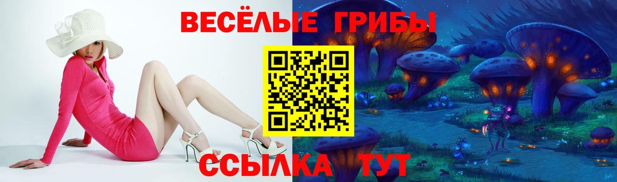 Галлюциногенные грибы прущие грибы  Псилоцибиновые грибы Cubensis  Вход с VPN  Нижний Новгород 